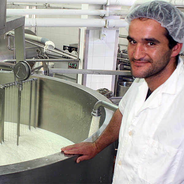 Cheese Factory