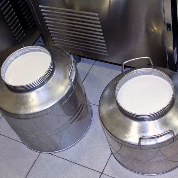 Fresh milk!!!
