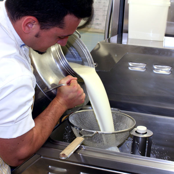 Pasteurization
